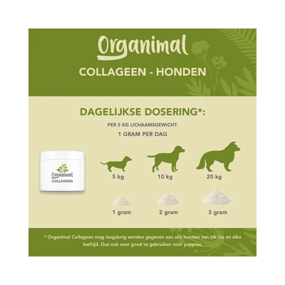Organimal Collageen voor Honden
