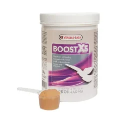 Oropharma Boost X5 - Poeder