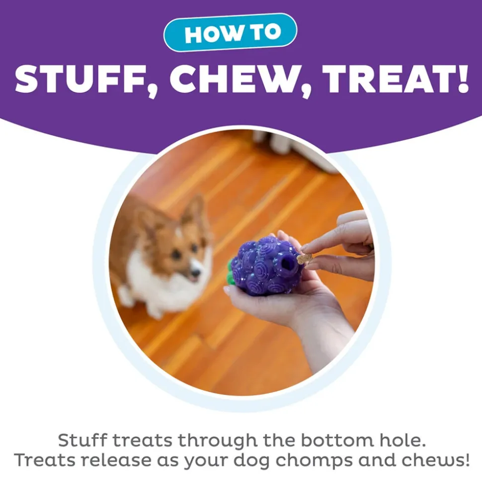 Outward Hound Dental Grapes