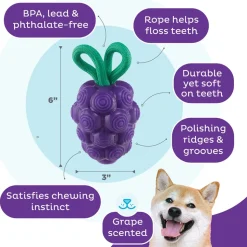 Outward Hound Dental Grapes