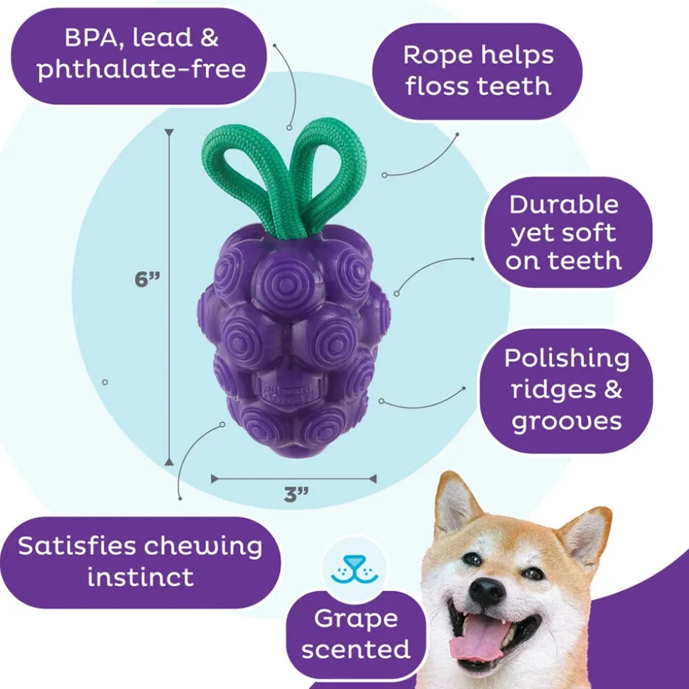 Outward Hound Dental Grapes
