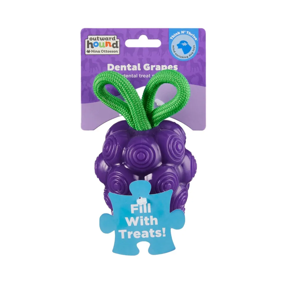 Outward Hound Dental Grapes