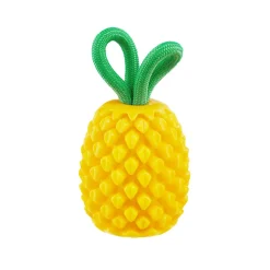 Outward Hound Dental Pineapple