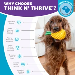 Outward Hound Dental Pineapple