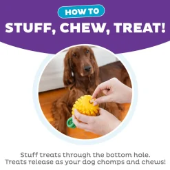Outward Hound Dental Pineapple