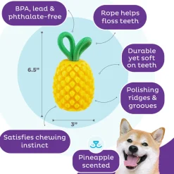 Outward Hound Dental Pineapple