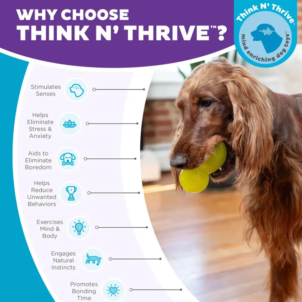 Outward Hound Double-Tuff