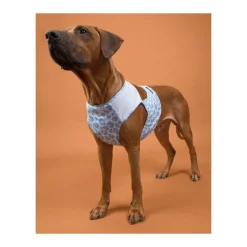 PAIKKA Cool Vest