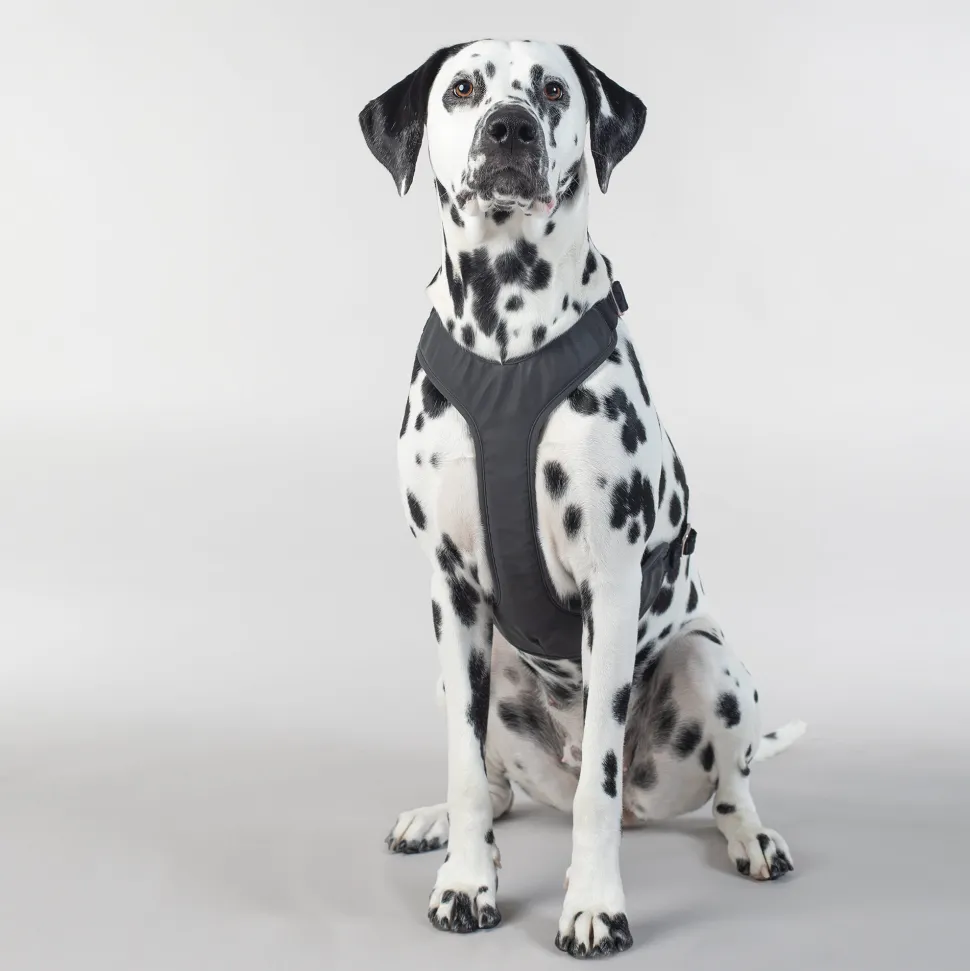 PAIKKA Visibility Harness