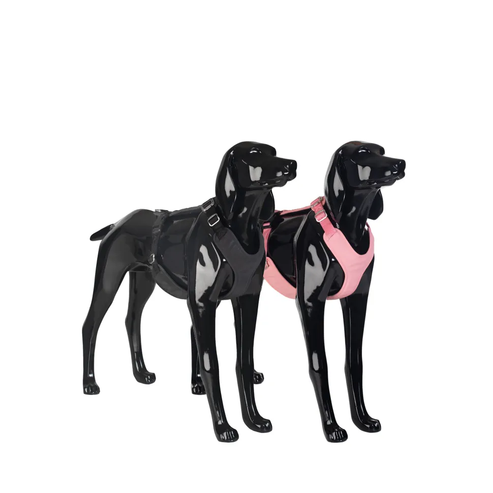 PAIKKA Visibility Harness