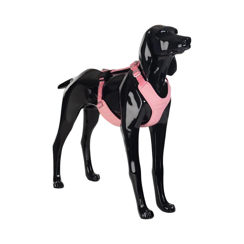 PAIKKA Visibility Harness