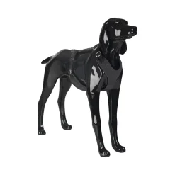 PAIKKA Visibility Harness