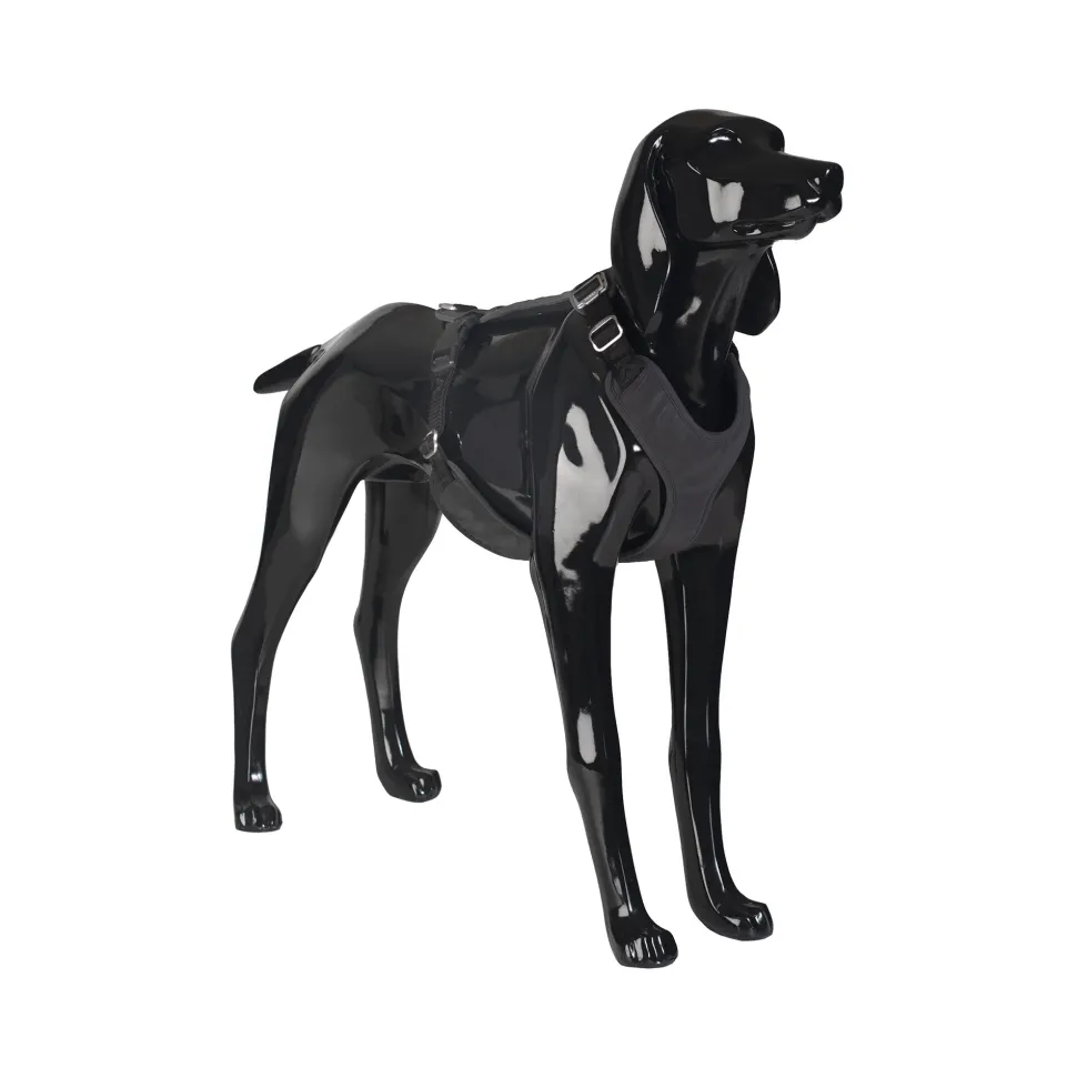 PAIKKA Visibility Harness