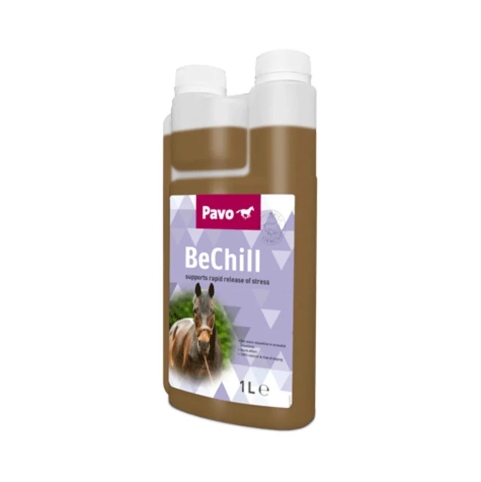 Pavo BeChill