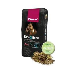 Pavo Ease & Excel