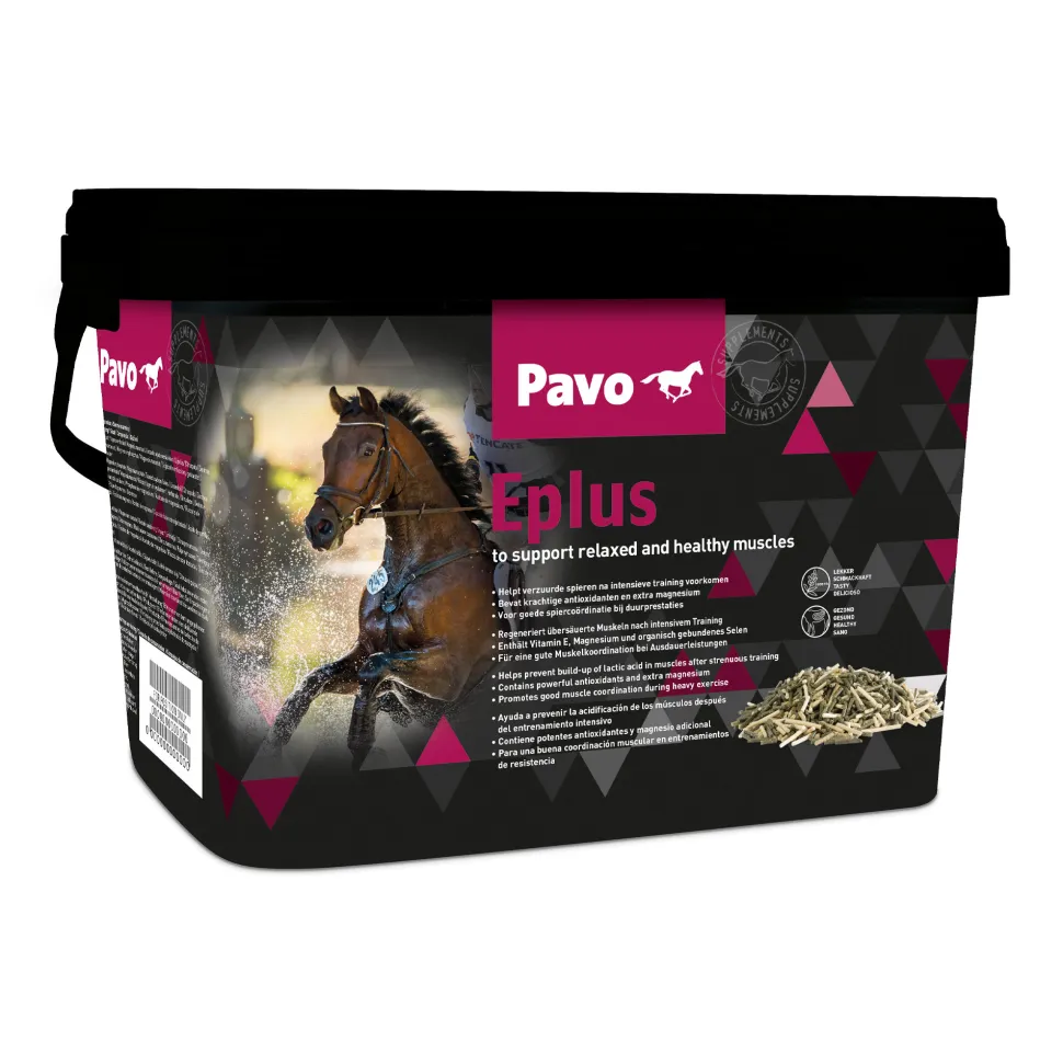 Pavo Eplus
