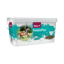 Pavo ProteinPlus
