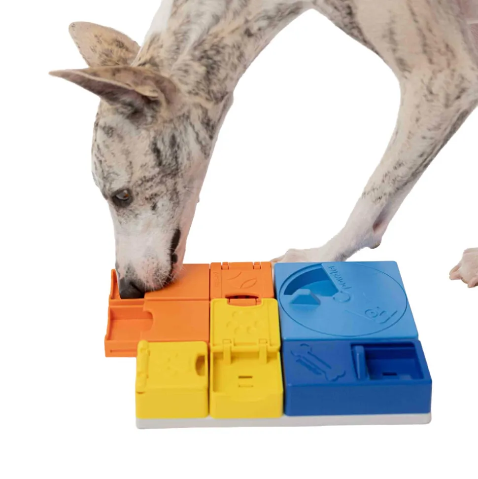 Pawzler Rainbow Set
