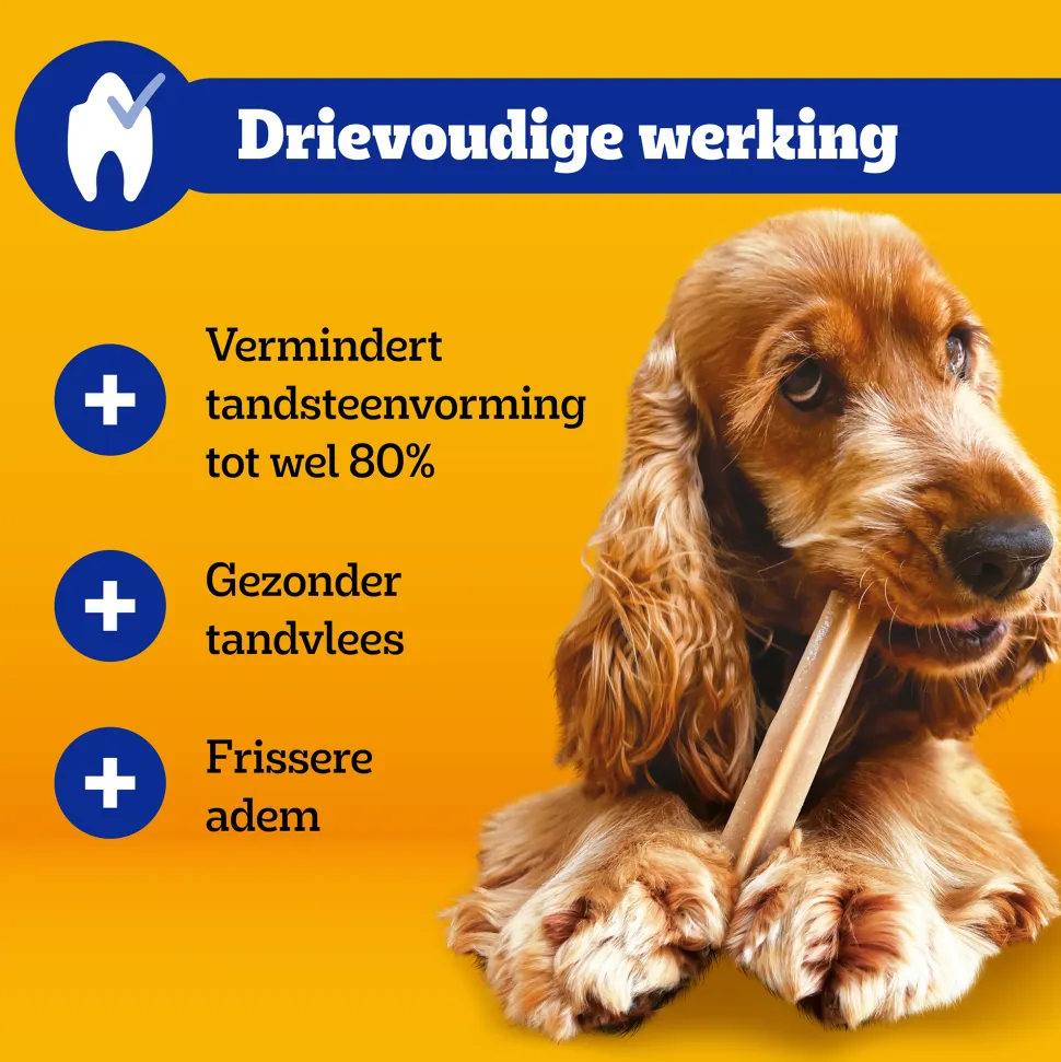 Pedigree DentaStix - Maxi