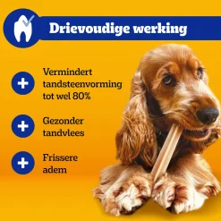 Pedigree DentaStix - Maxi Multipack