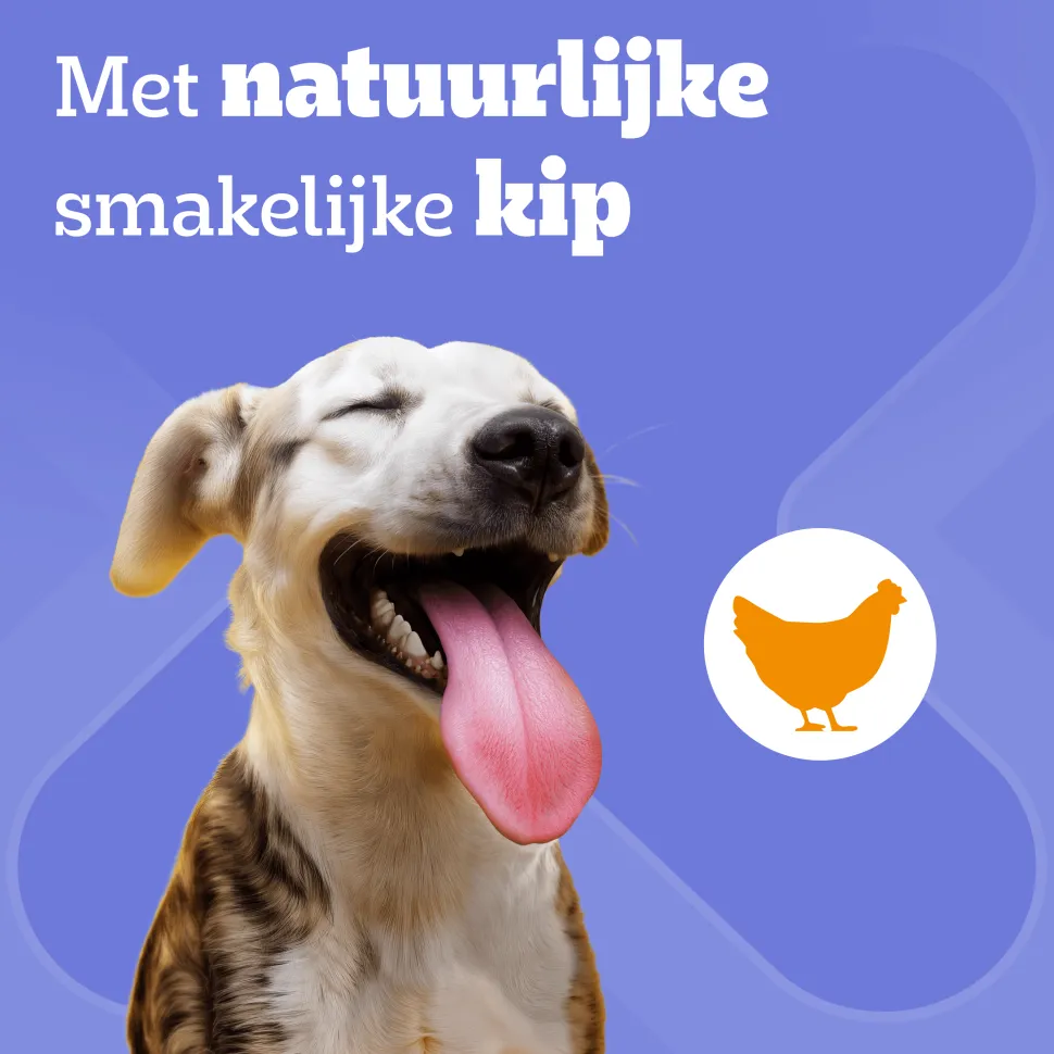 Pedigree DentaStix - Medium