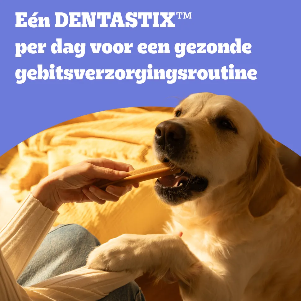 Pedigree DentaStix - Medium Multipack