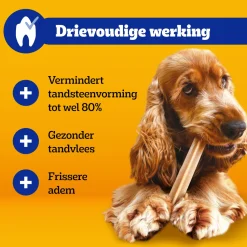 Pedigree DentaStix - Mini Multipack