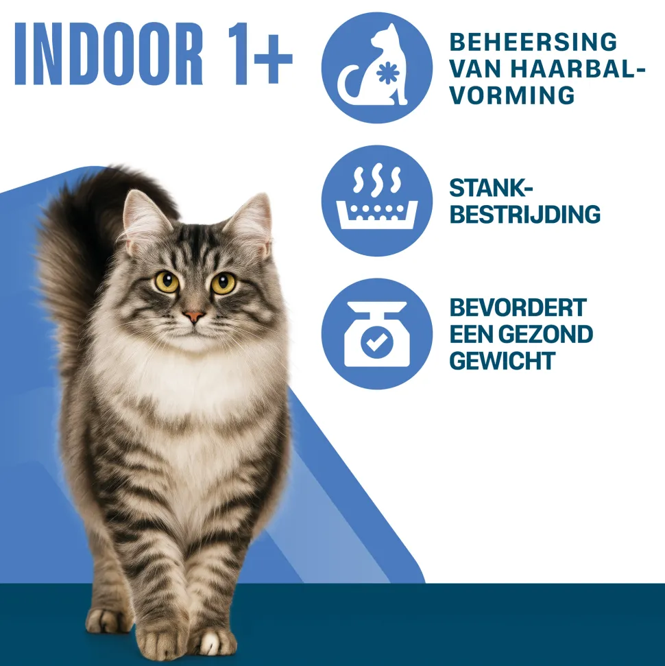 Perfect Fit Adult Indoor 1+