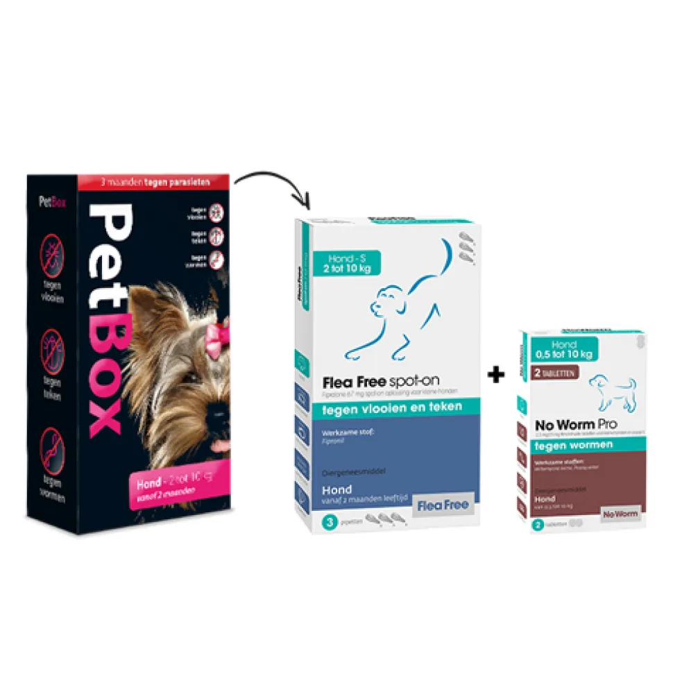 PetBox Hond