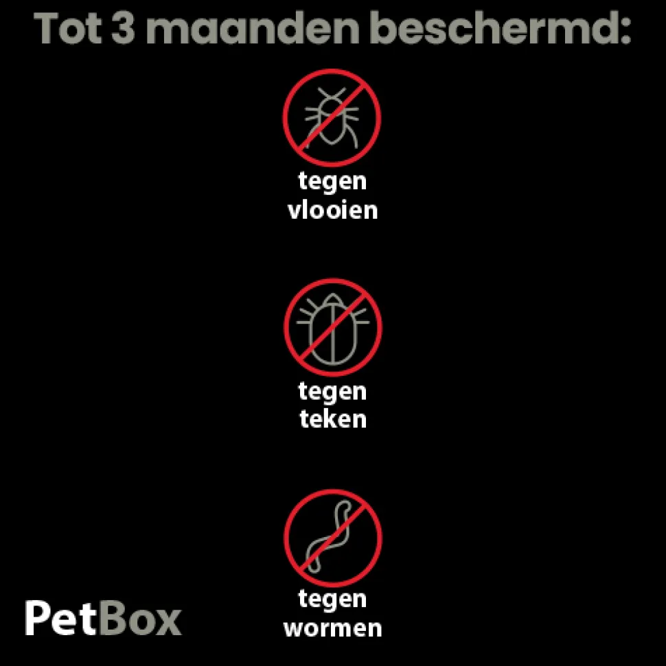 PetBox Hond