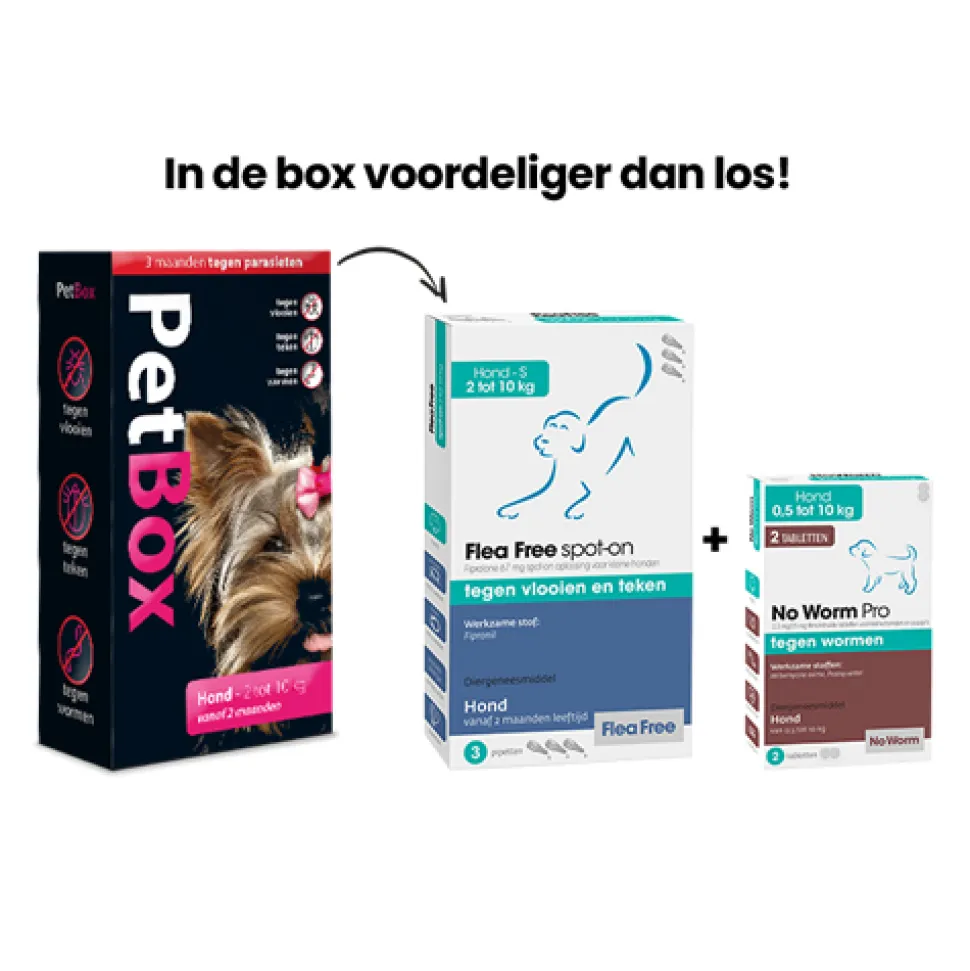 PetBox Hond