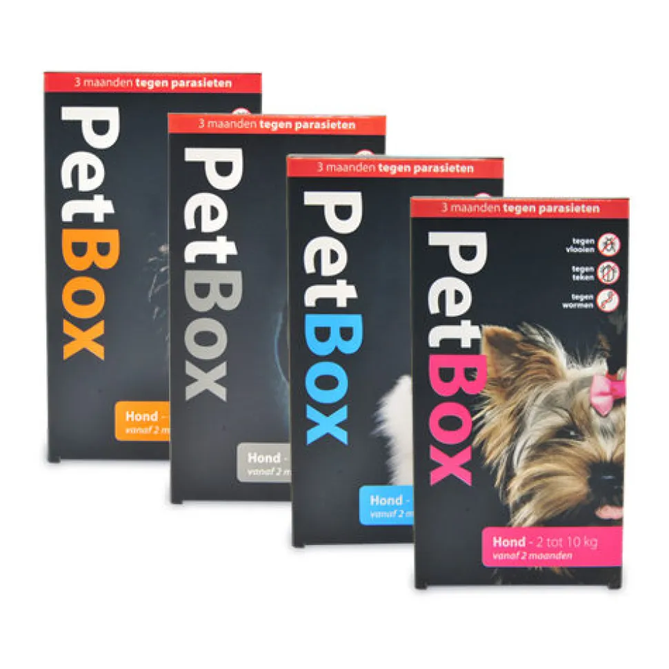 PetBox Hond