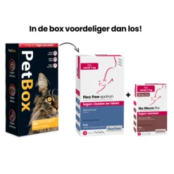 PetBox Kat