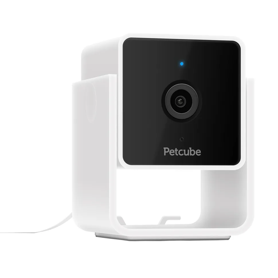 Petcube Cam