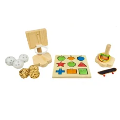 Petlala Papegaai Agility Training Set
