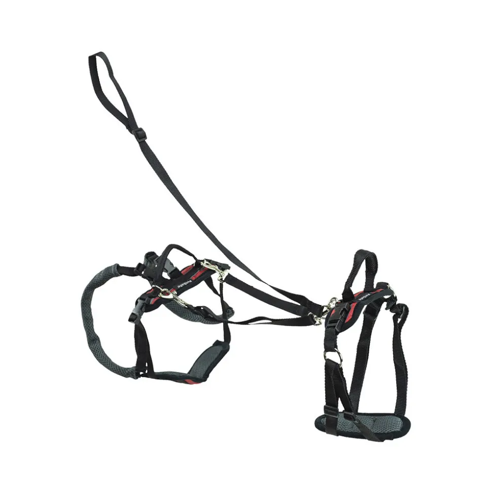 PetSafe Carelift - Draagsysteem voor de hond