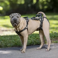 PetSafe Carelift - Draagsysteem voor de hond