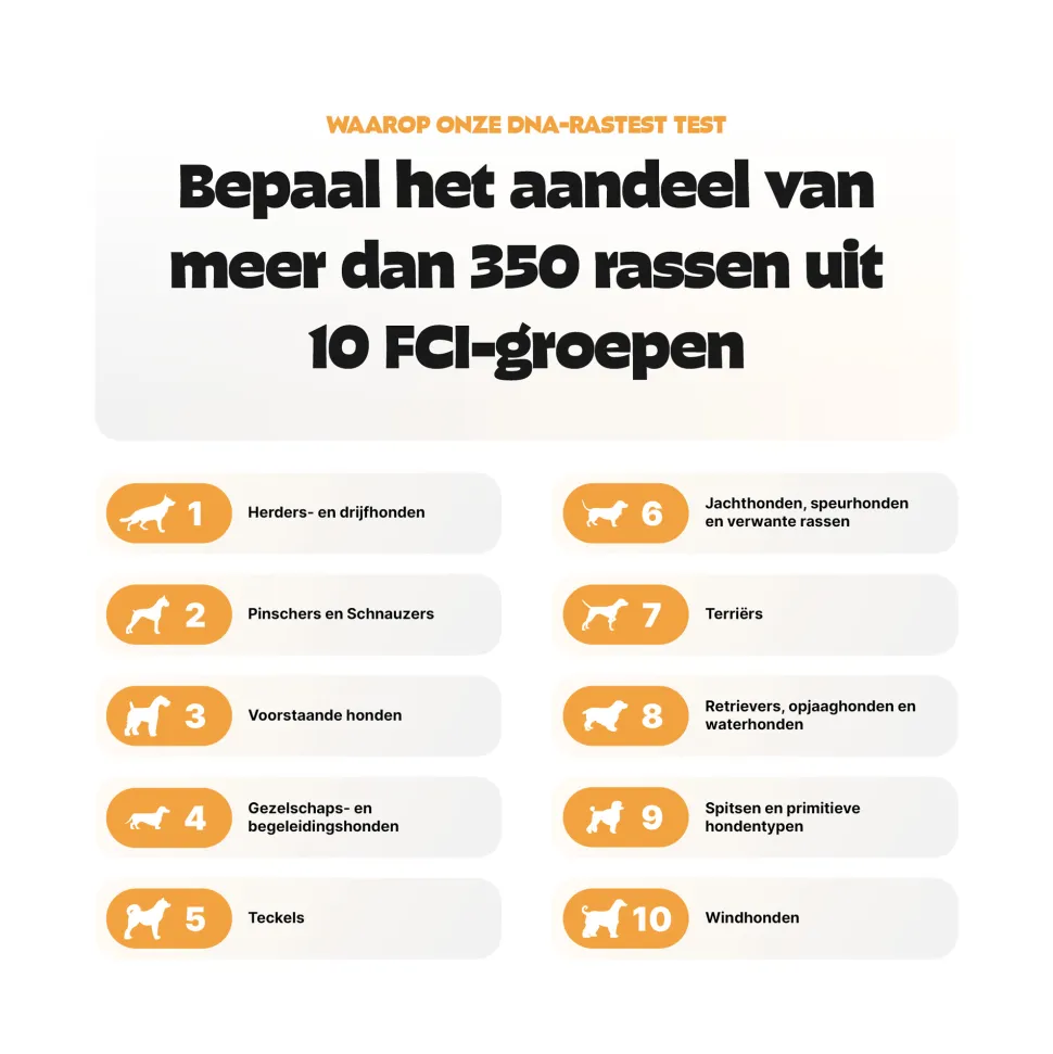 Pezz DNA Rastest Hond