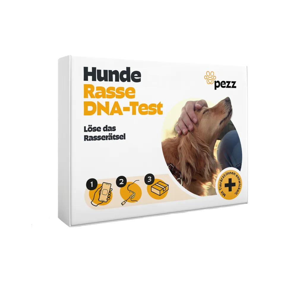Pezz DNA Rastest Hond