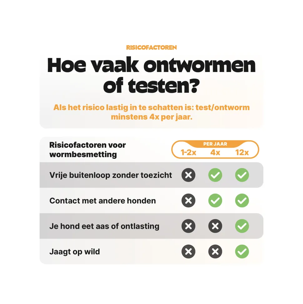 Pezz Standard Wormtest Hond