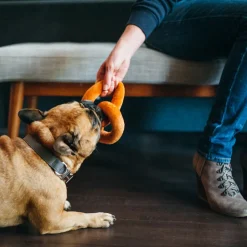 P.L.A.Y. Pet International Classic - Pretzel Toy