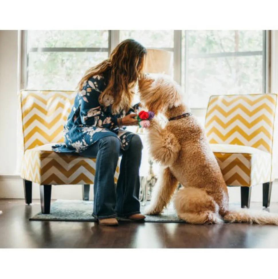 P.L.A.Y. Pet Puppy Love - Rover's Roses Pluche