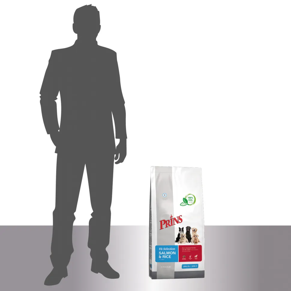 Prins Fit Selection Salmon & Rice