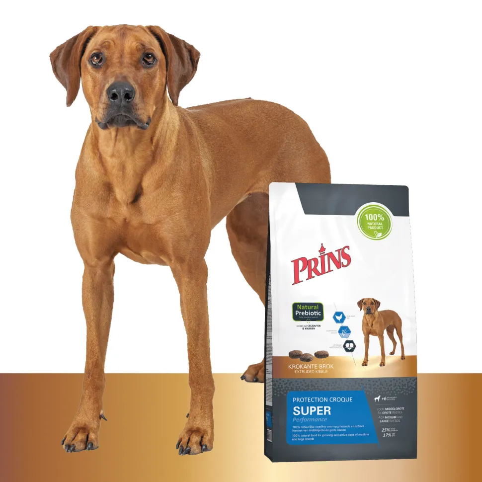 Prins Protection Croque Super Performance