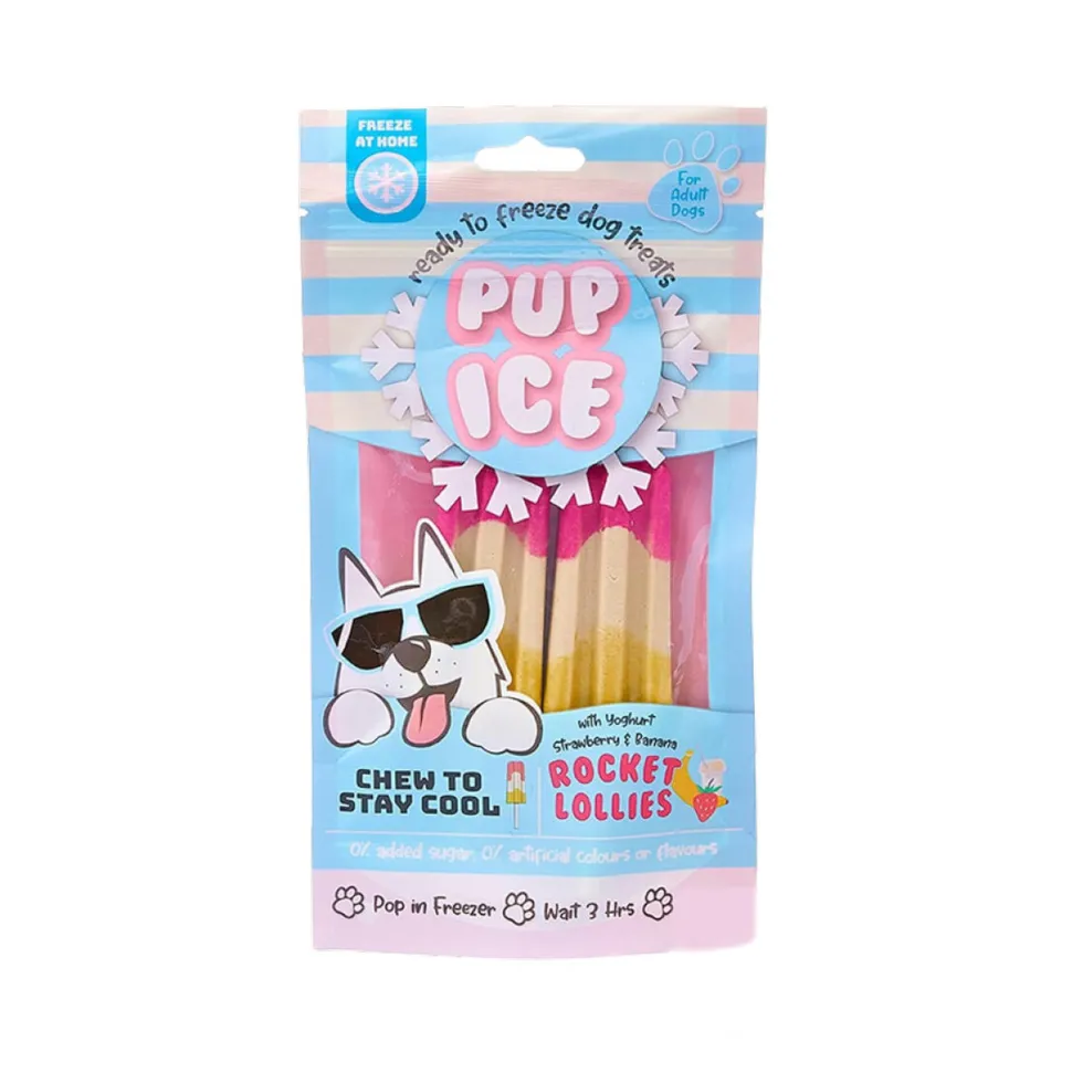 Pup Ice Hondenijs Raket