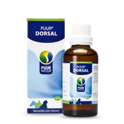 Puur Dorsal