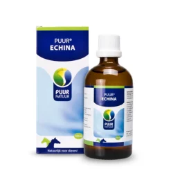 Puur Echina Paard/Pony