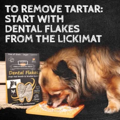 Qchefs Dental Flakes - Honden