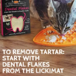 Qchefs Dental Flakes - Katten