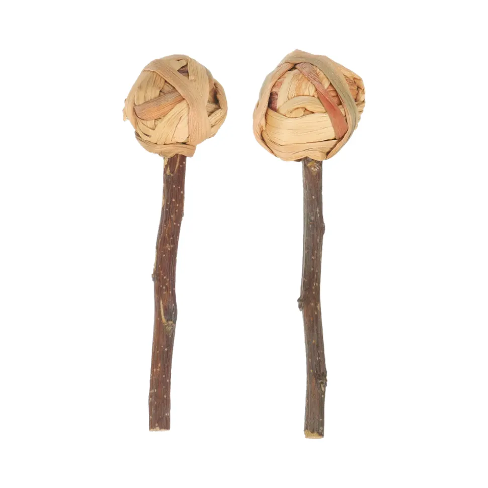 Quapas! Lollipop
